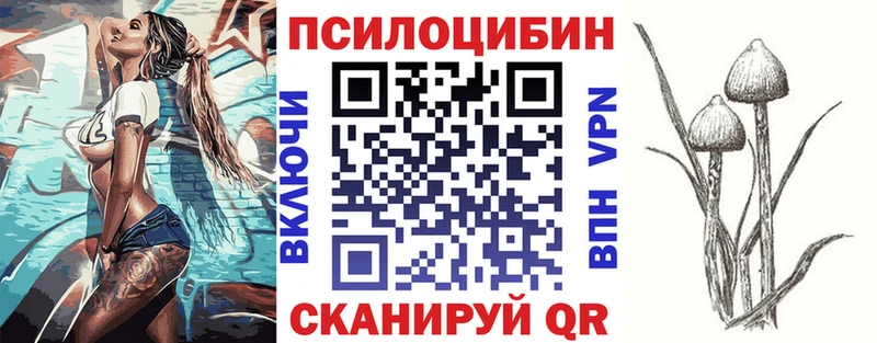 OMG сайт  Краснослободск  Псилоцибиновые грибы GOLDEN TEACHER 